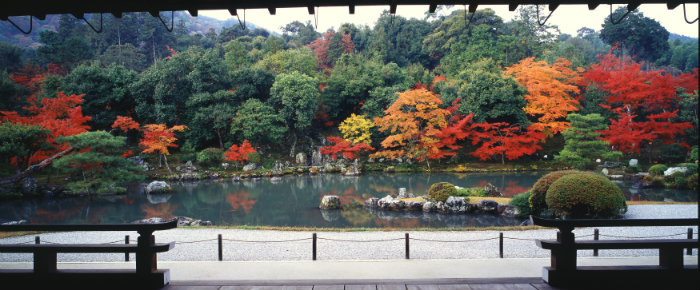 Goldener Herbst, Japan, Tempel, Laub