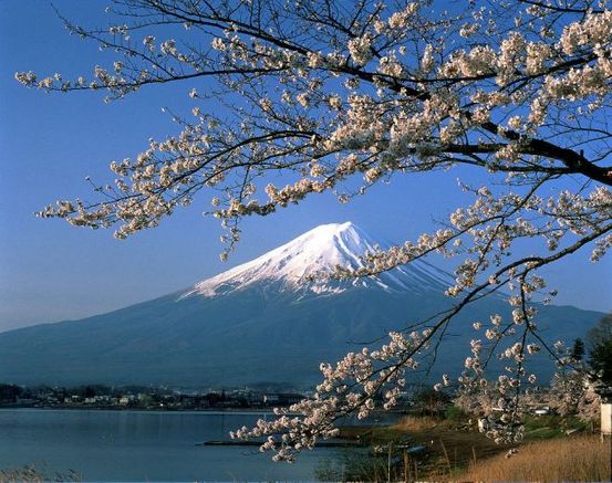 Kirschblueten in Japan Privatreise Muenchina