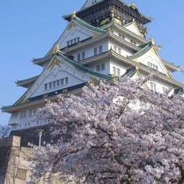 Traditionsreiceh und umkämpfte Burg Osaka in Zentraljapan