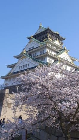 Traditionsreiceh und umkämpfte Burg Osaka in Zentraljapan